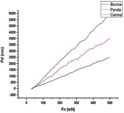 Special architecture and anti-wear strategies for giant panda tooth enamel: Based on wear simulation findings